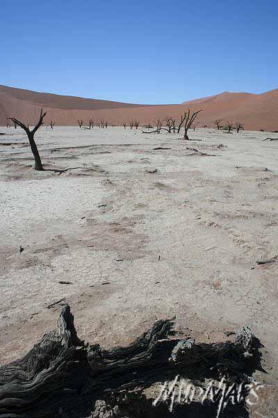 Mud Maps Africa Namibia 1545